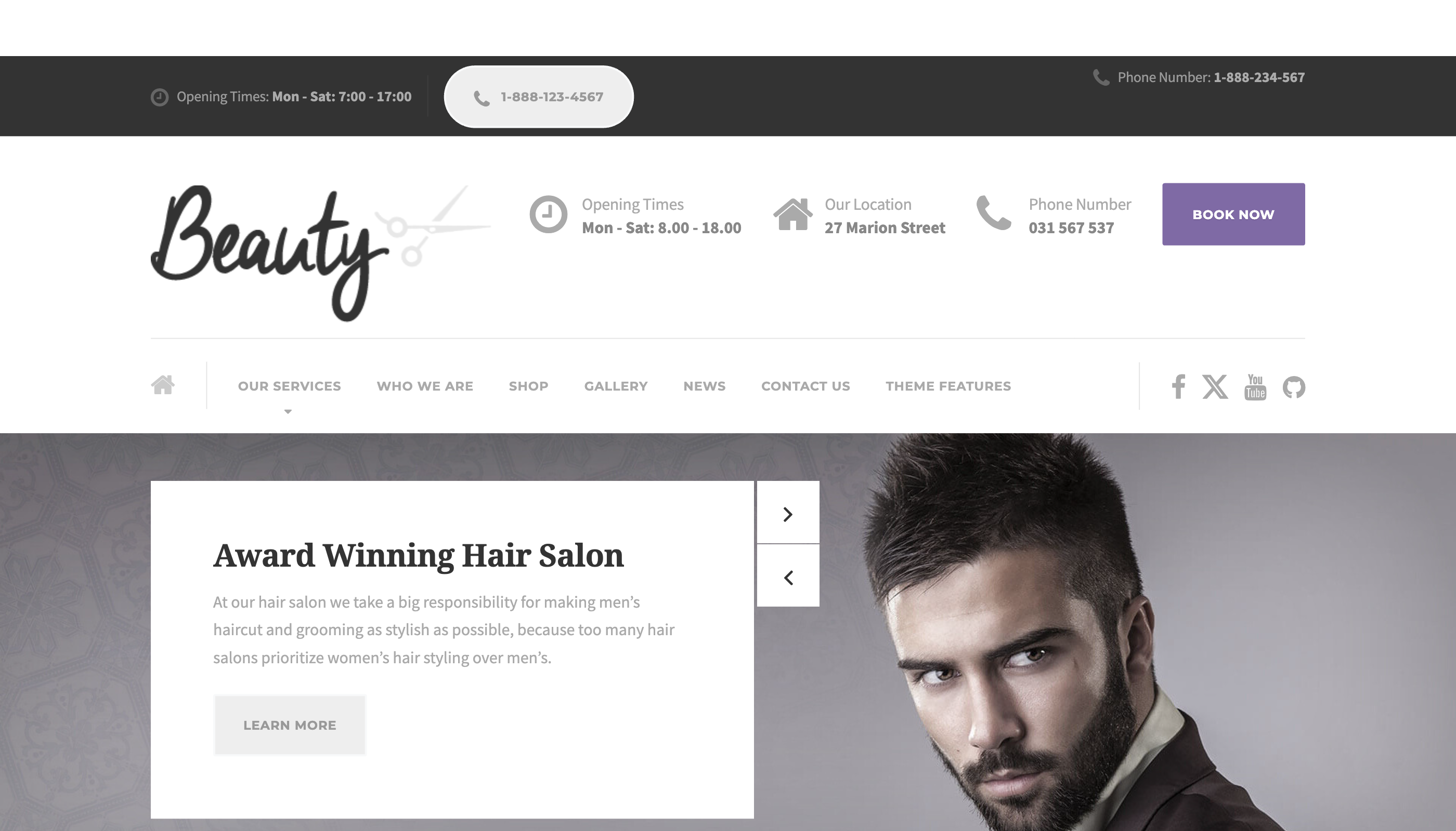 Beauty WordPress theme screenshot